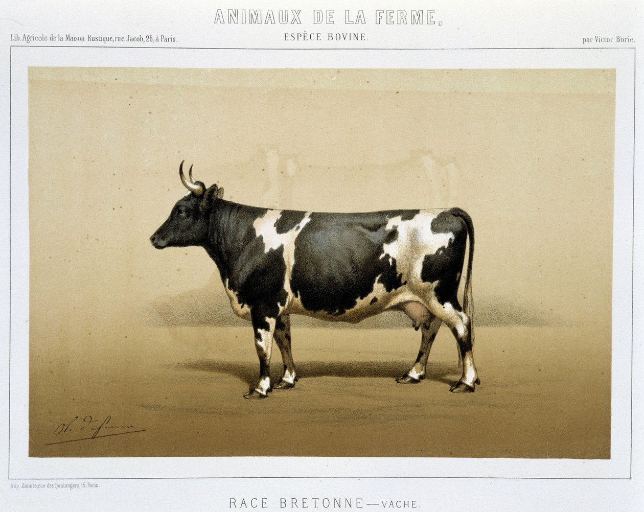 vaca bretã de Unknown artist