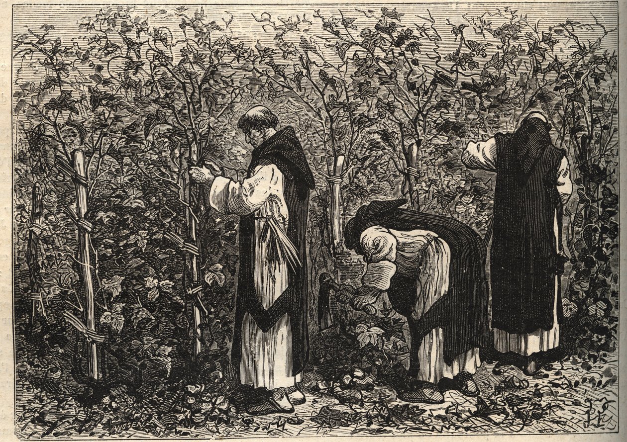 Monges da Borgonha cultivando a videira - por Louis Figuier - final do século XIX de Unknown artist