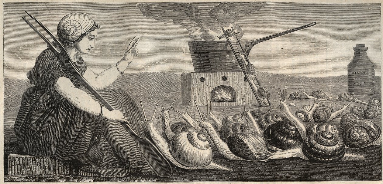 Caracol da Borgonha - gravura do século XIX de Unknown artist