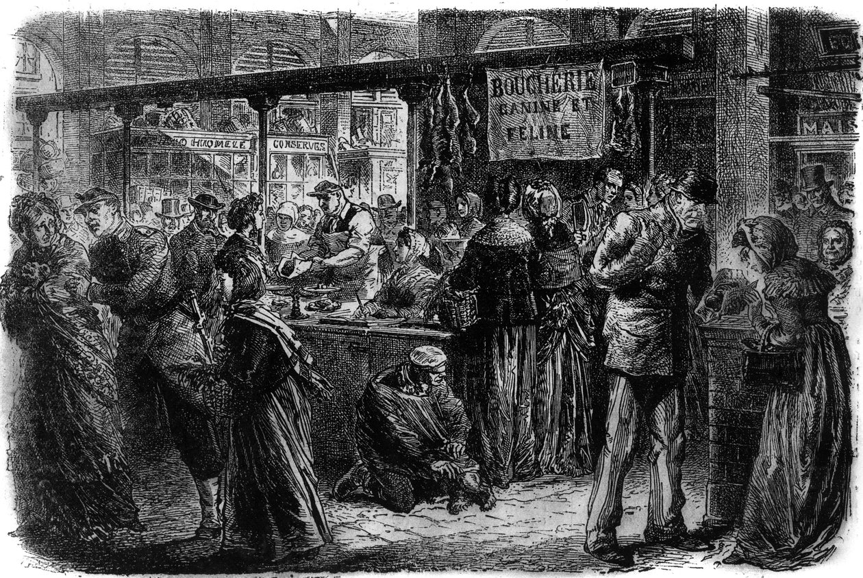 Canino e felino de açougue em Paris em 1870 de Unknown artist
