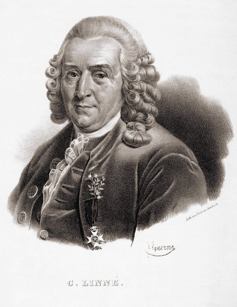 Carl Von Linné naturalista e escritor sueco (1707 - 1778). de Unknown artist