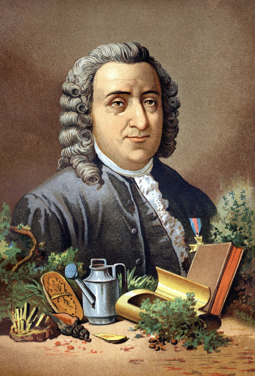 Carl Von Linné naturalista e escritor sueco (1707 - 1778) depois de "La Ciencia y sus Hombres" de Louis Figuier. Barcelona 1881 de Unknown artist