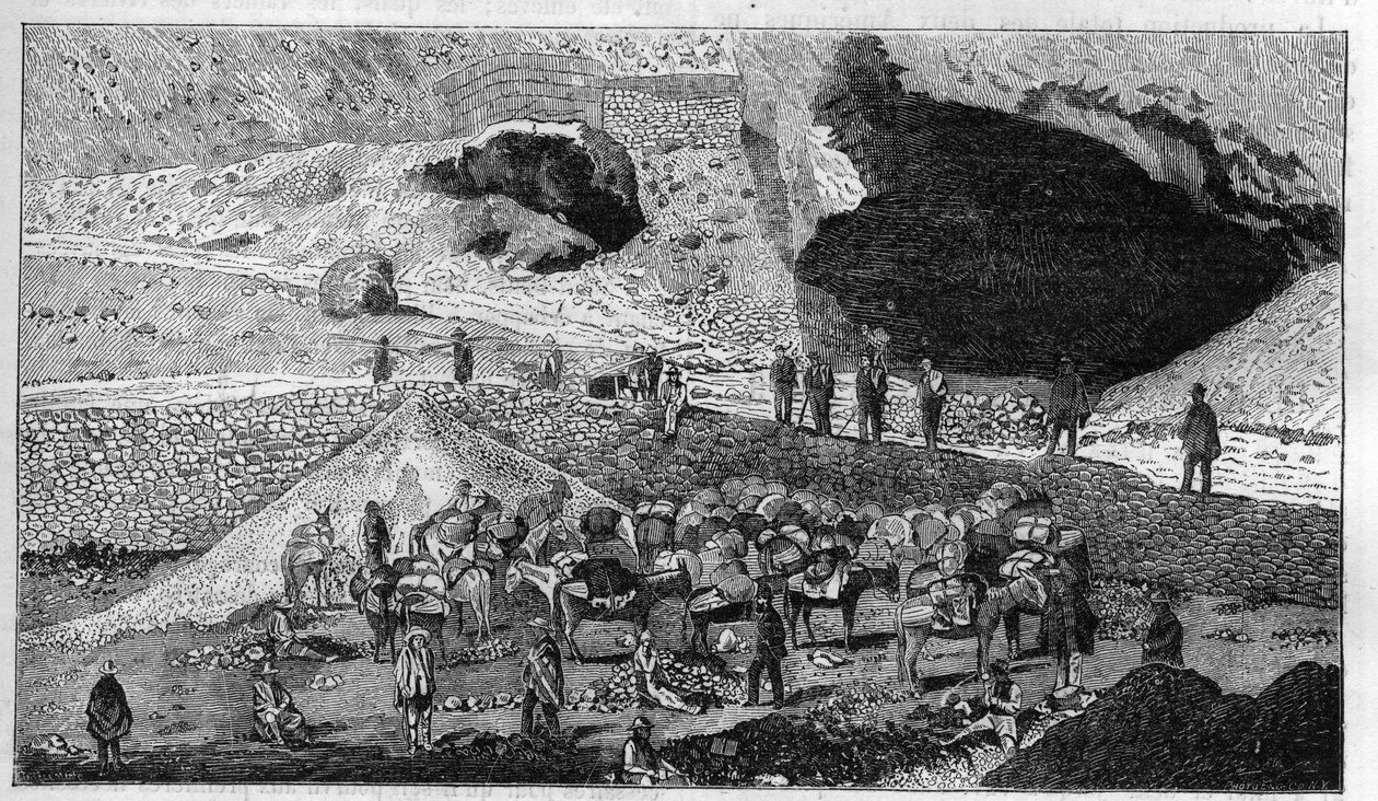 Mina de prata de Cerro de Pasco no Peru: transporte de minério nas costas de Mulet. Gravura em "La Nature". de Unknown artist