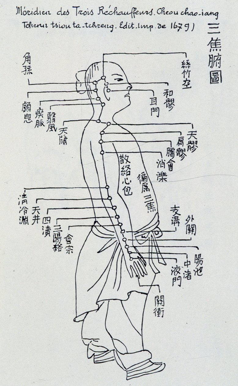 Acupunctura chinesa: o meridiano dos três aquecedores de Unknown artist