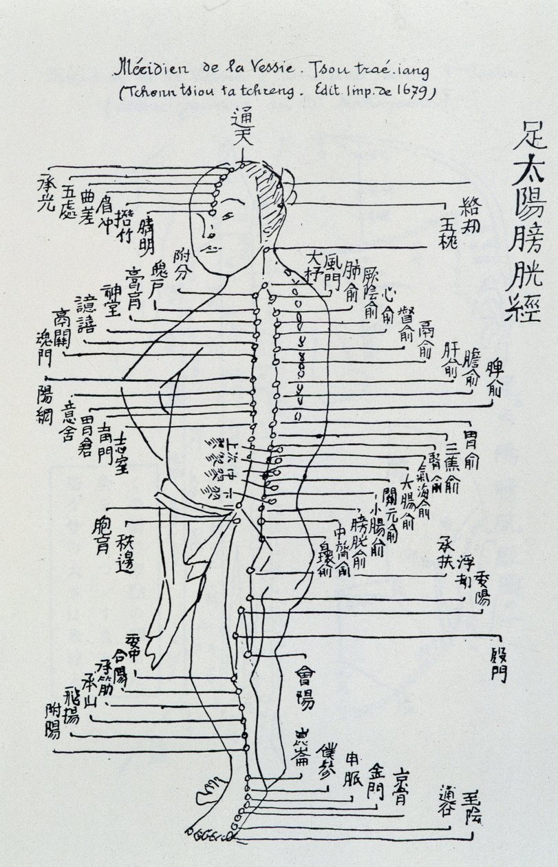 Acupunctura chinesa: o meridiano da bexiga de Unknown artist