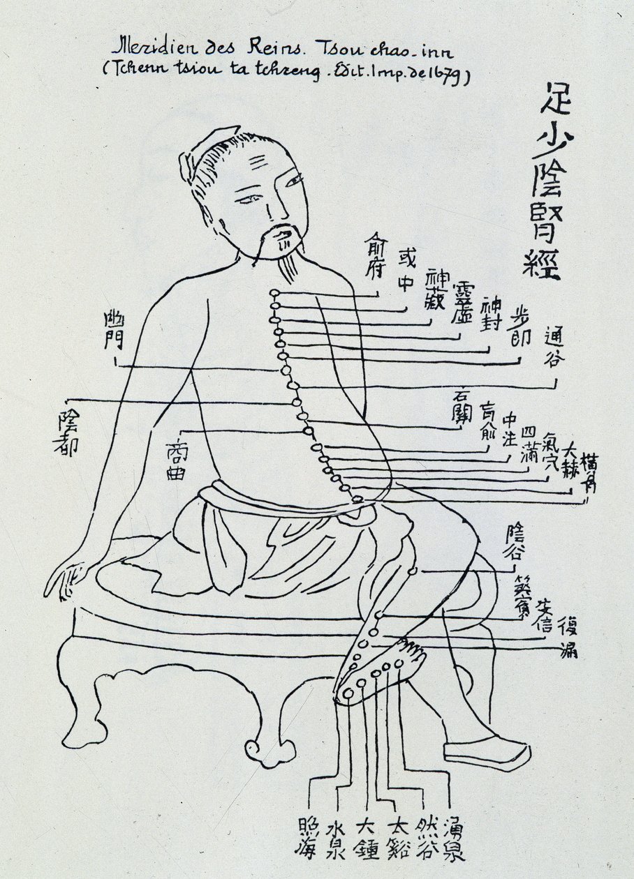 Acupunctura chinesa: o meridiano dos rins de Unknown artist