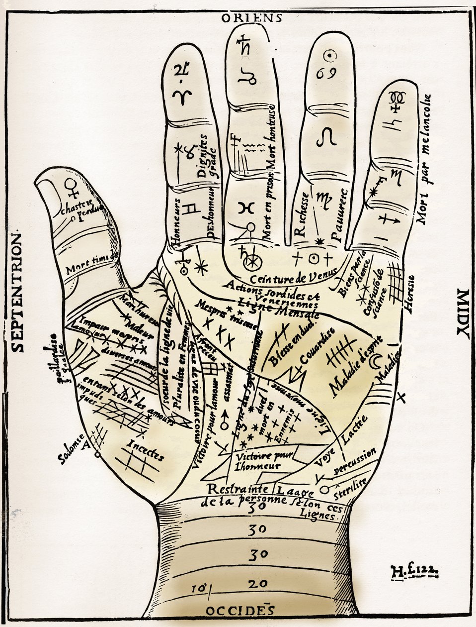 Chiromancia - GRÁFICO PALMISTA - Diagrama planetário e zodiacal da mão esquerda - Corte de madeira de "Várias Oeuvres" de Jean Belot Lyons, França de Unknown artist