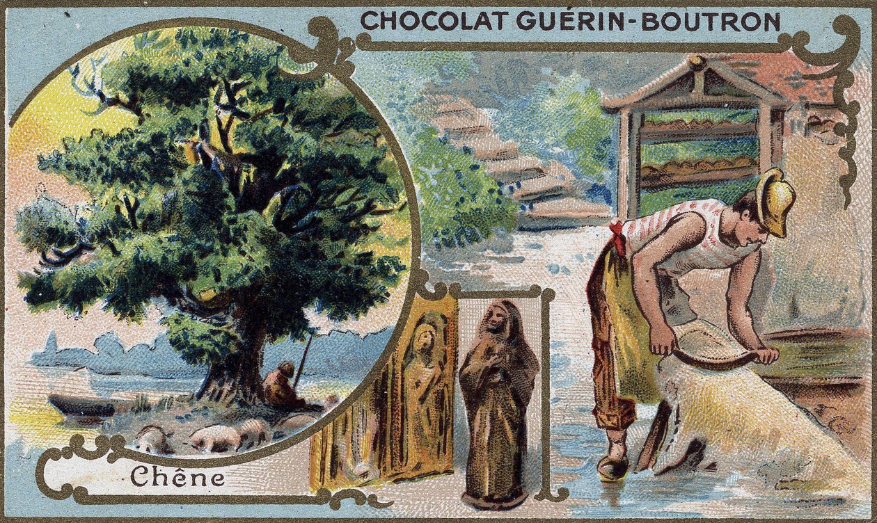 Embalagem cromolitográfica de chocolates Guérin Boutron.19 século. de Unknown artist