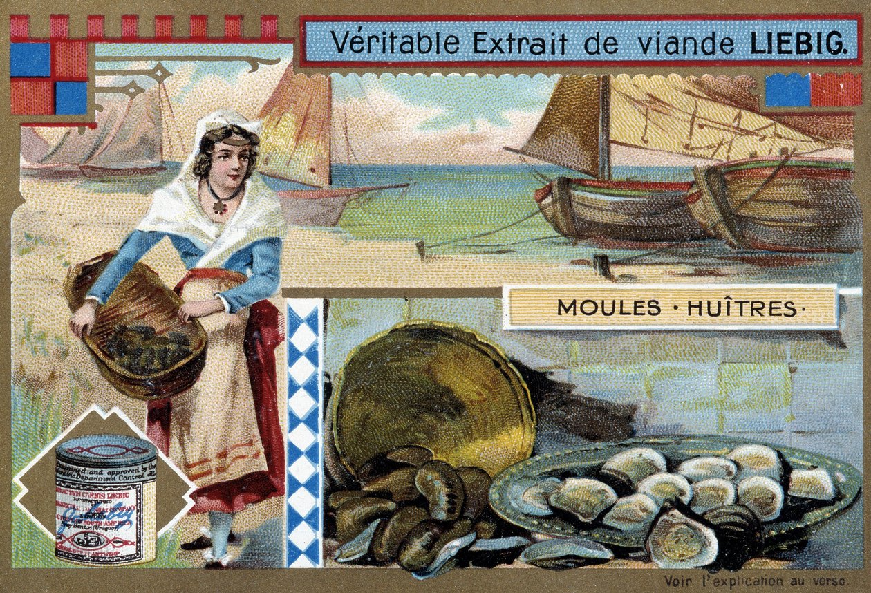 Colecção de mexilhões e ostras - chromo. Liébig, v.1900 de Unknown artist