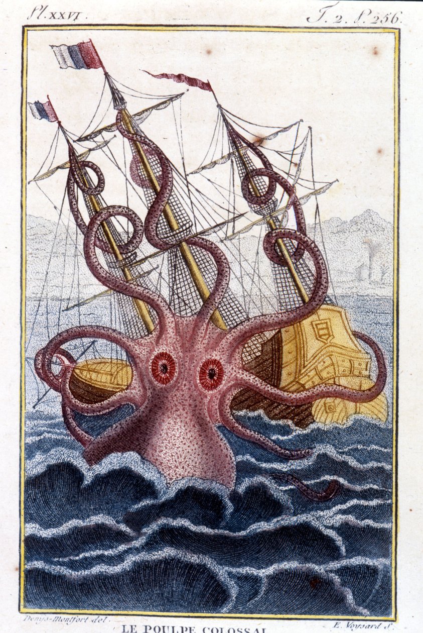 Polvo colossal (polvo, lula gigante, kraken) atacando um navio (navio, navio) - gravação do livro de Pierre Denys-Montfort (Denys de Montfort 1766-1820) "Histoire naturelle des mollusques", edição original de 1802) - de Unknown artist