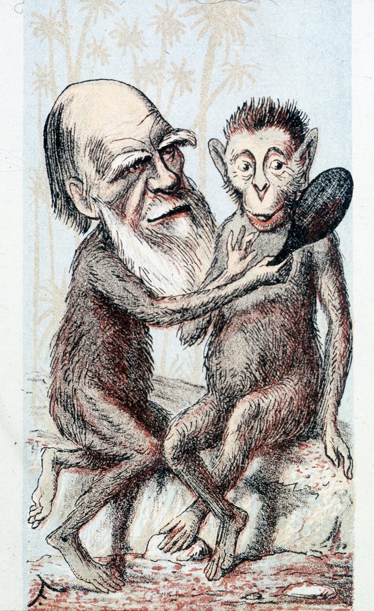 Desenho de comédia sobre a teoria de Darwin - no "London Sketchbook" de Unknown artist