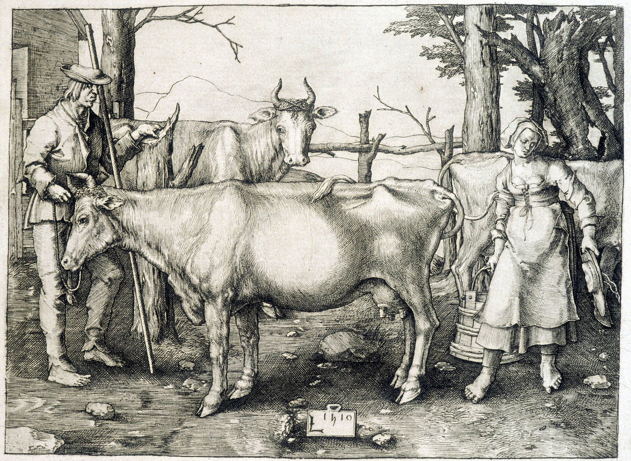Bovinos e lacticínios na Holanda de Unknown artist