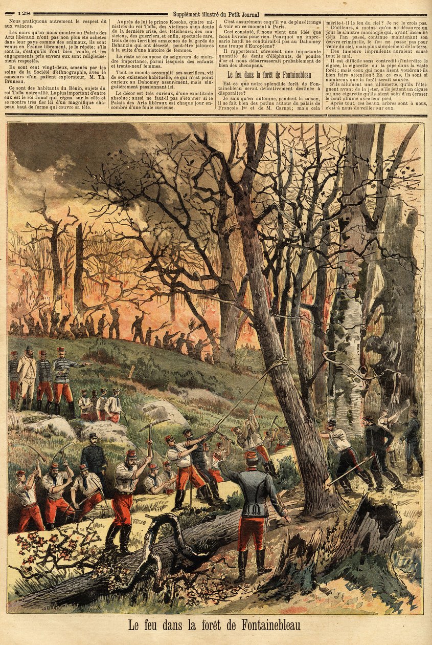 Incêndio criminoso na floresta de Fontainebleau. Gravura no "Le petit journal" 22/04/1893. A coleção de Selva. de Unknown artist