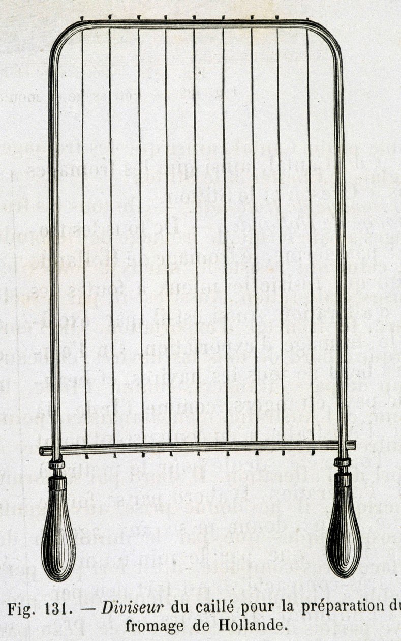 Divisor de requeijão para a preparação de queijo holandês - em "As maravilhas da indústria" de Louis Figuier de Unknown artist