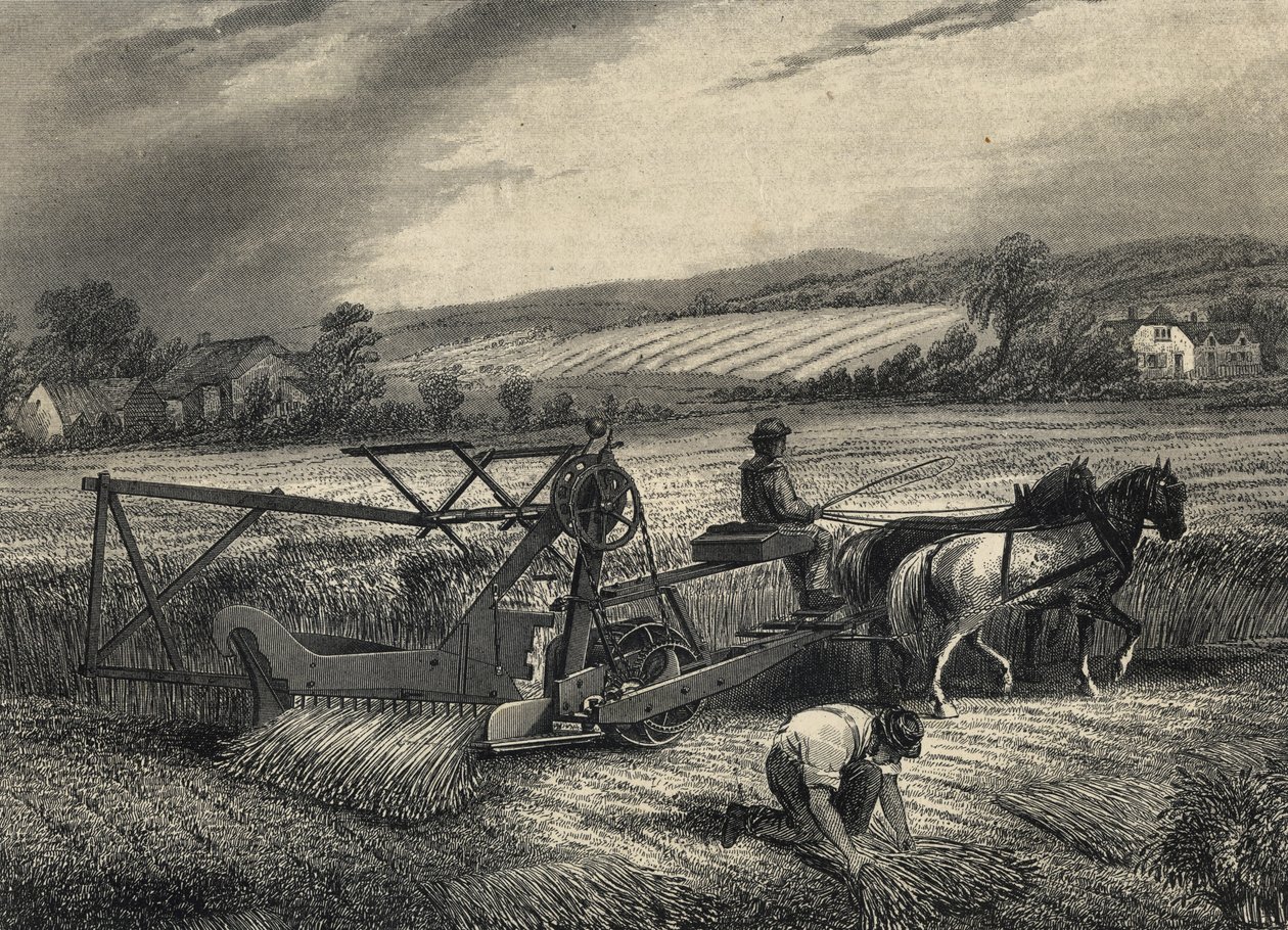 Máquina de ceifar de Cyrus McCormick de 1831, exposta na exposição do Palácio de Cristal de 1851. de Unknown artist