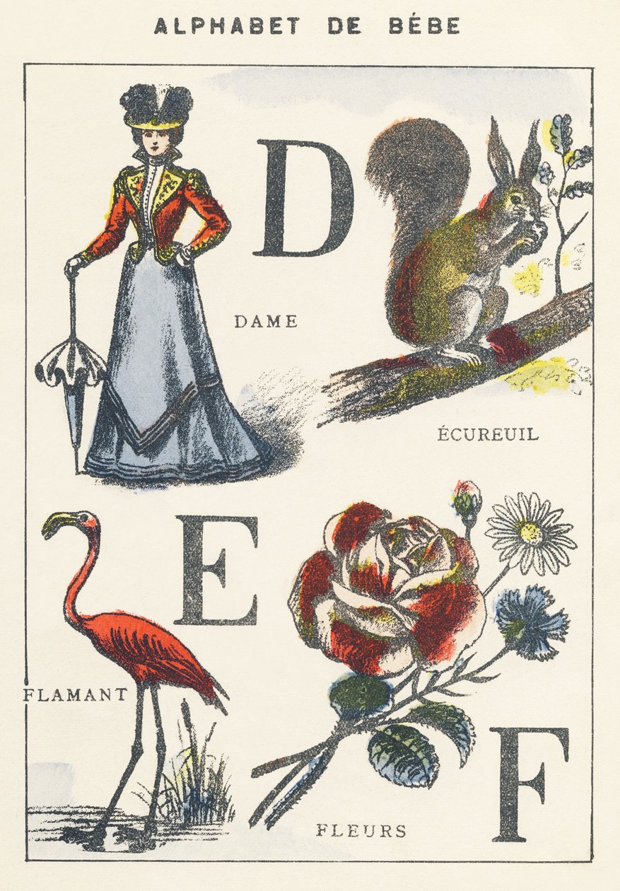 DEF: senhora, esquilo, flamingo, flores de Unknown artist