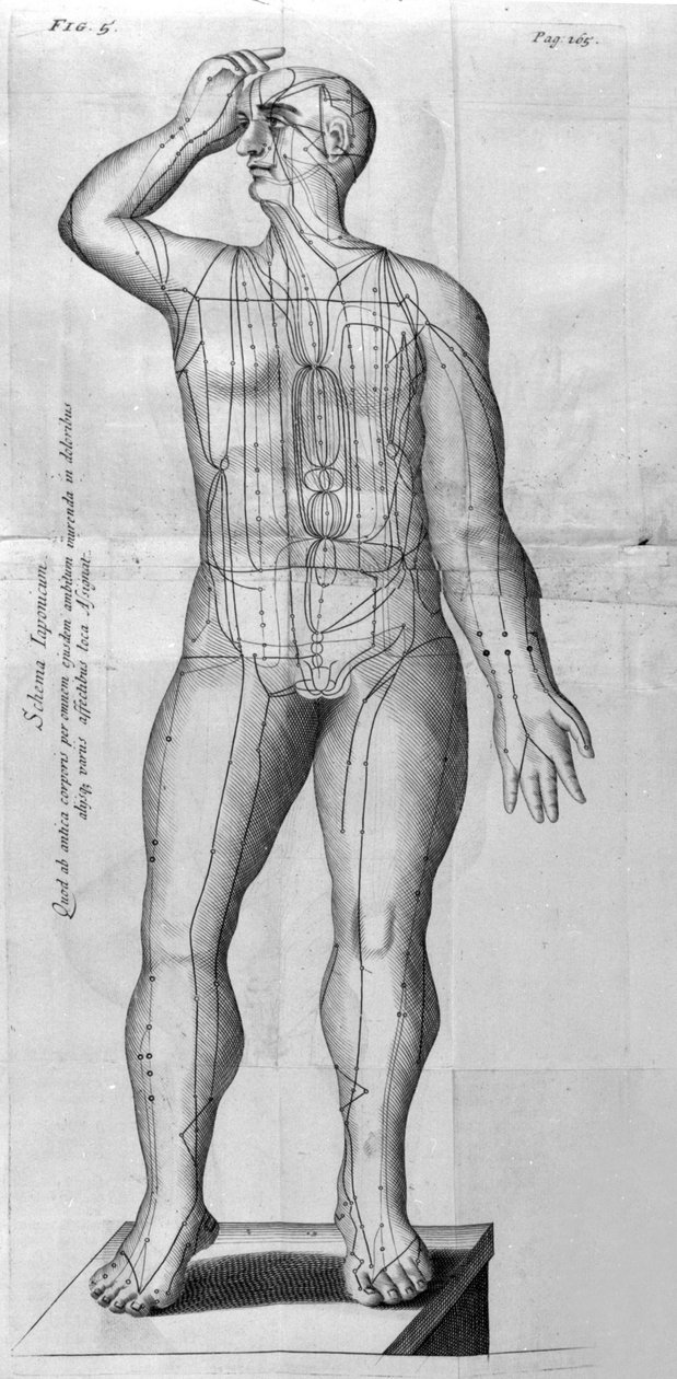 De Acupunctura, de W.Ten Rhijne. Londres, 1683. Primeiro texto ocidental que trata da Acupuntura. de Unknown artist