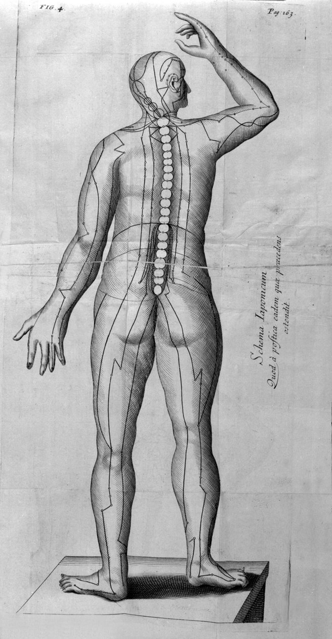 De Acupunctura, de W.Ten Rhijne. Londres, 1683. Primeiro texto ocidental que trata da Acupuntura. de Unknown artist
