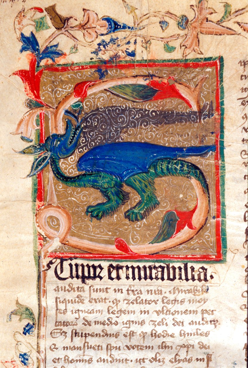 Dragon Decoree Lettrine Detalhe do manuscrito do século XIV de Unknown artist