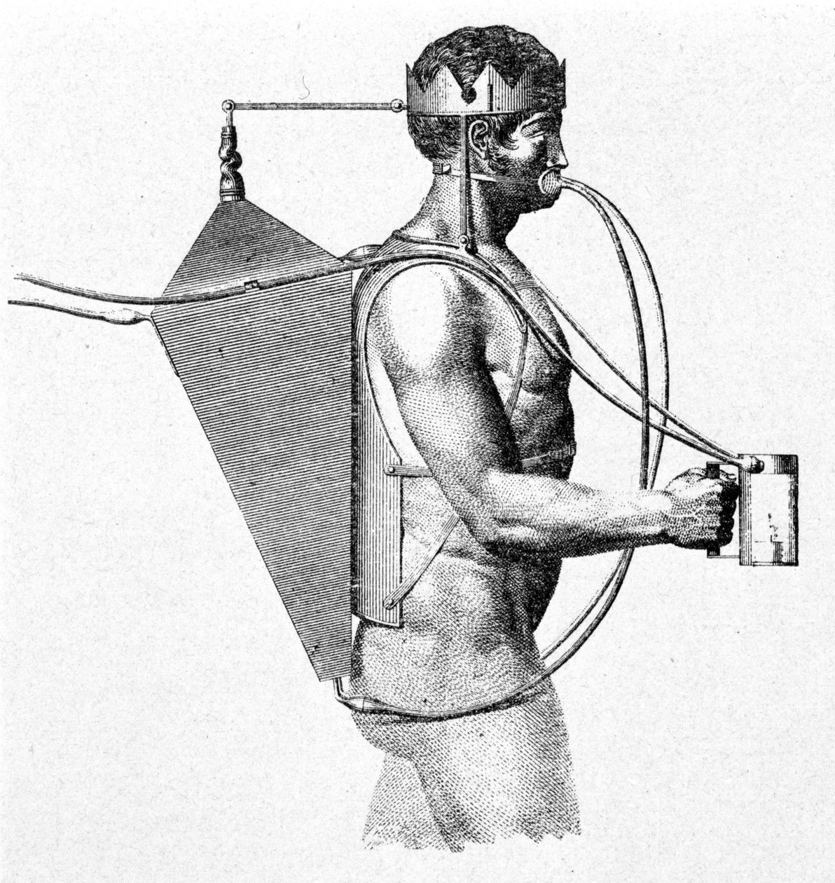 Projecto Drieberg