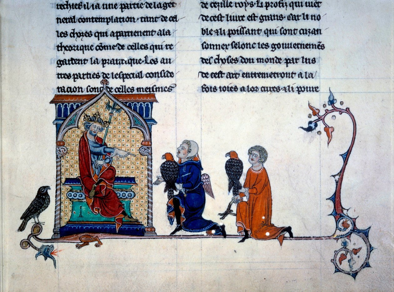Imperador Frederic II (1194-1250) recebendo falcões em miniatura de "De arte venandi Cum avibus" de Unknown artist