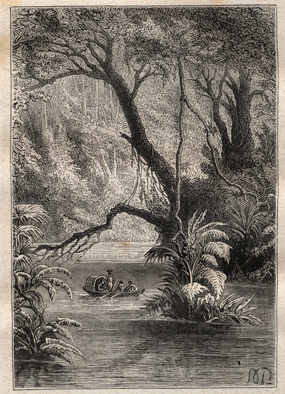 Expedição à América (1799-1804) por Alexander von Humboldt (1769-1859) e Aime Bonpland (1773-1858): os exploradores descem ao Orenoque, rodeados pelas gigantescas árvores da floresta amazônica (Cano Pimichin, Venezuela) - ilustração tirada de "The Great de Unknown artist