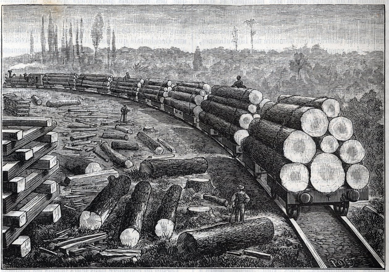 Exploração das florestas dos Estados Unidos. Ferrovias temporárias com trilhos de madeira. Vagões com troncos de árvores. Gravura em "La Nature". de Unknown artist
