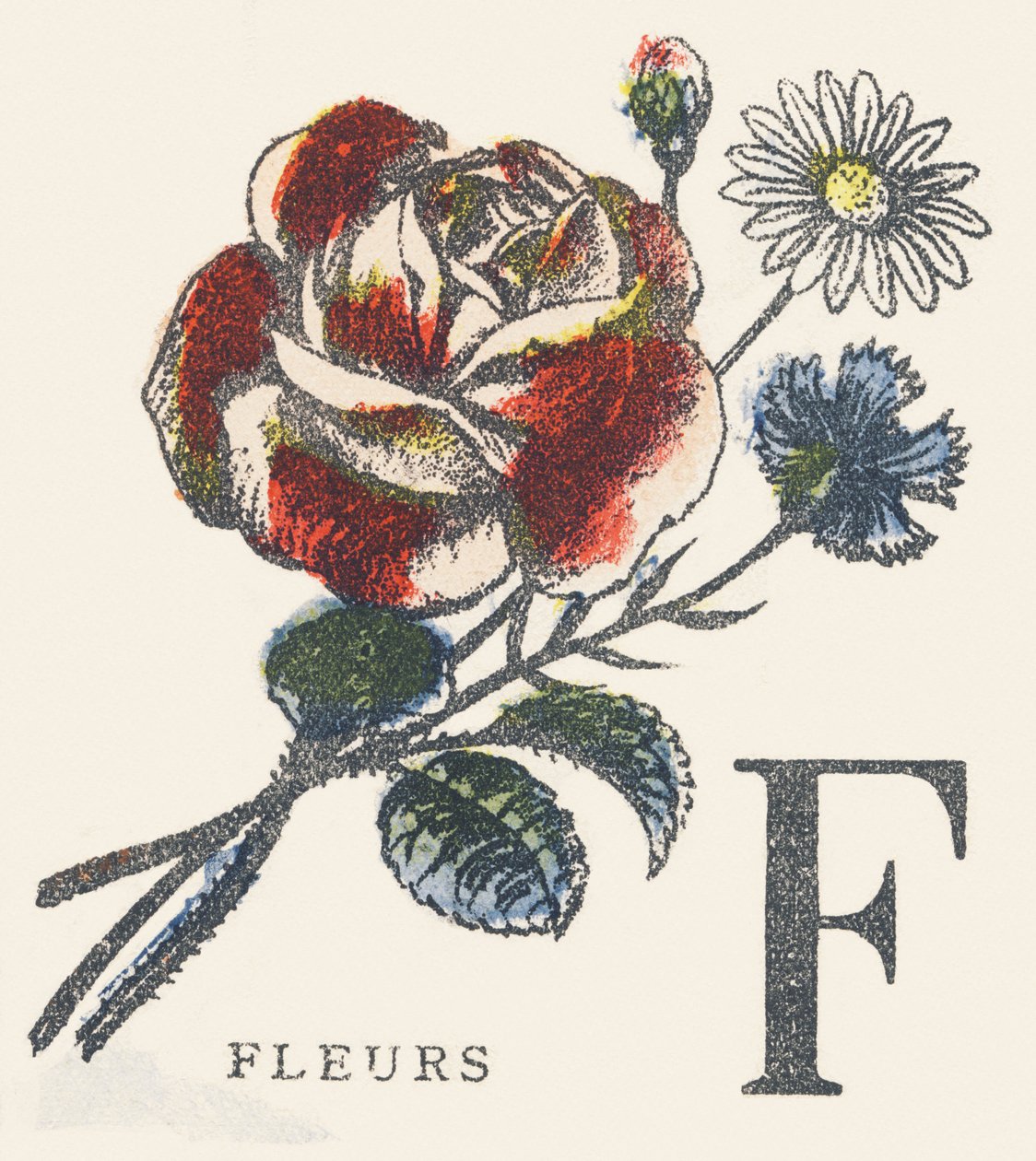 F: flores de Unknown artist