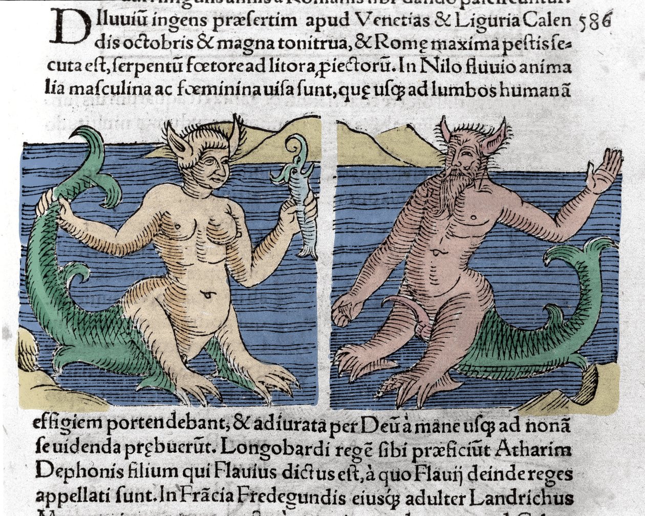 Criaturas fantásticas: Um tritão e uma sirene vistos no Nilo. Gravura de "Le livre des prodiges" (Prodigiorum ac ostentorum Chronicon Basileae) de Wolfhart (Conrad Lycosthene) 1557 de Unknown artist