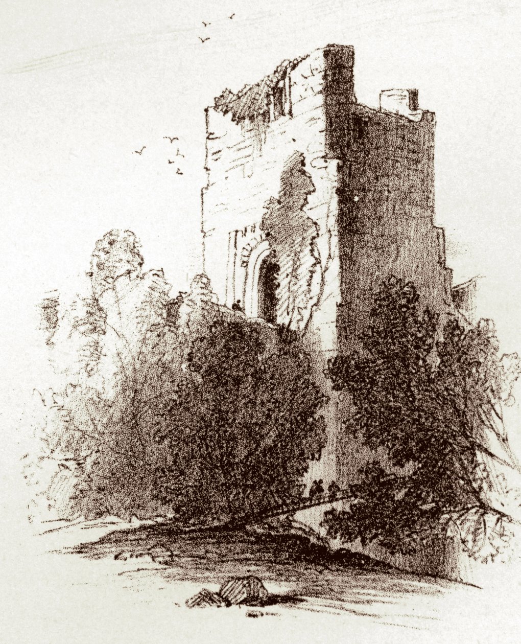 Castelo de Farnham (gravura) de Unknown artist