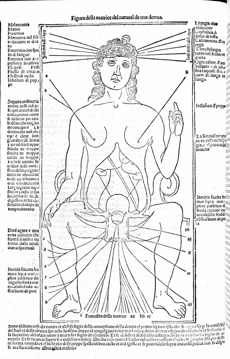 Aparelho reprodutivo feminino - em Tratado de Medicina de Gerolamo Cardano (Cardano) (Cardanus Hieronymus), Florença 1585. de Unknown artist
