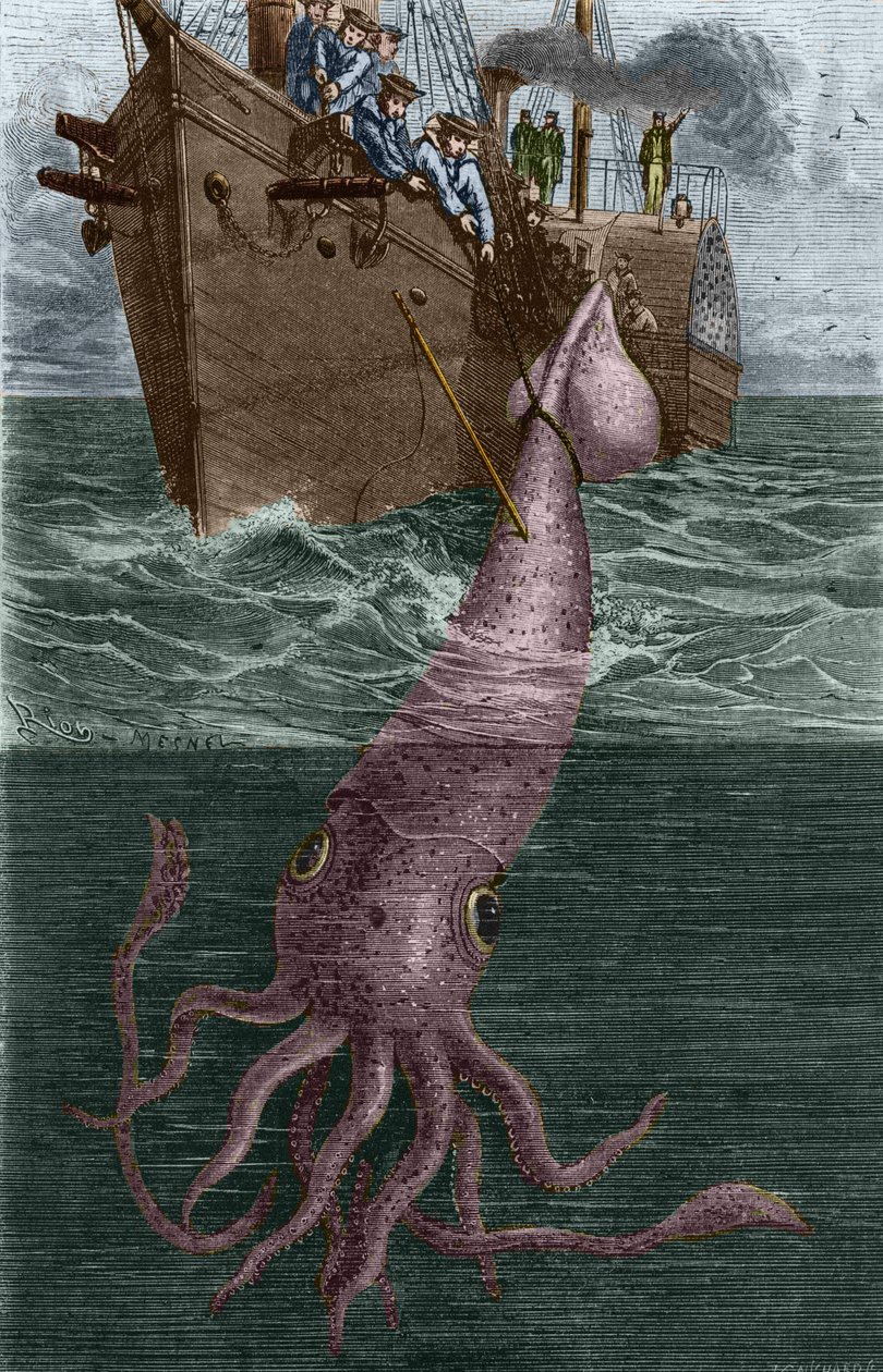 Pescando uma lula gigantesca pela corveta francesa l