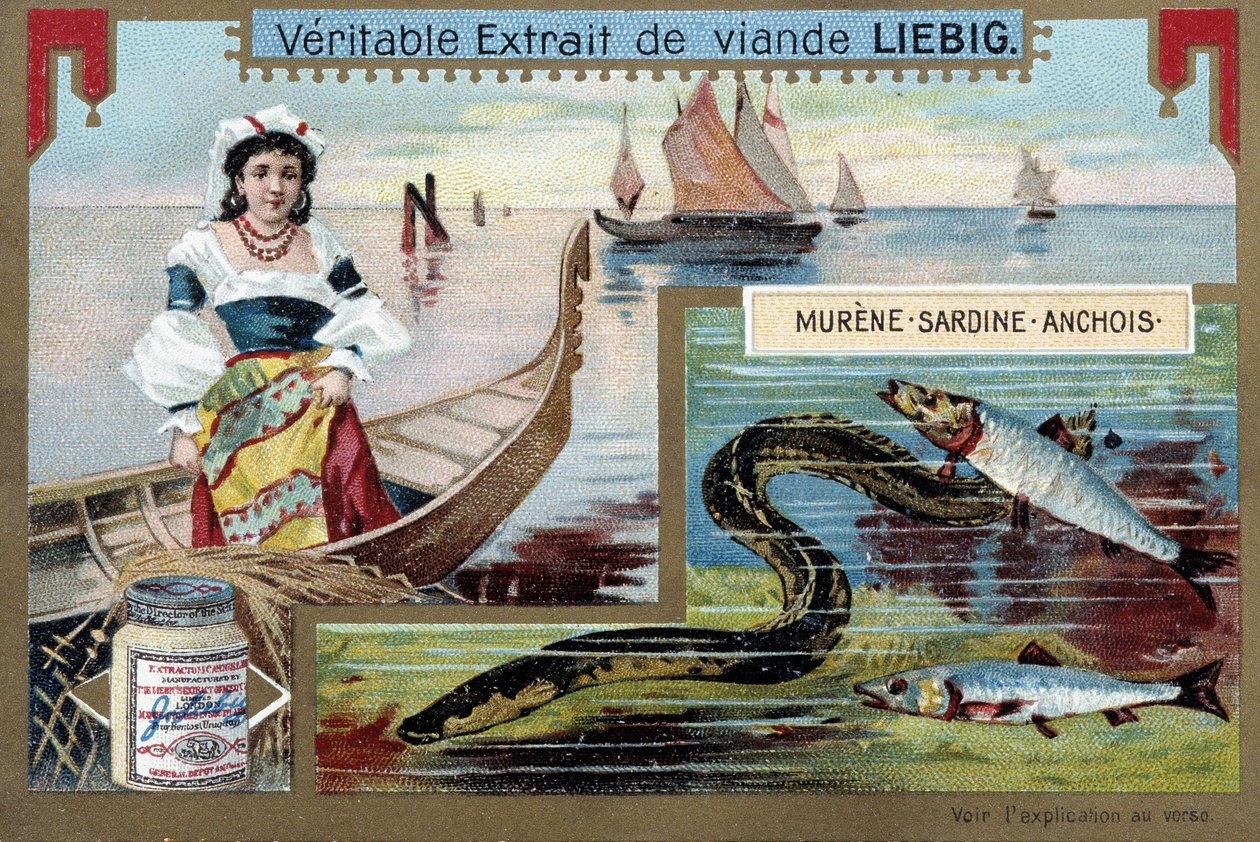Barcos de pesca e peixes (moréia, sardinha, anchova) - chromo. Liébig, v.1900 de Unknown artist
