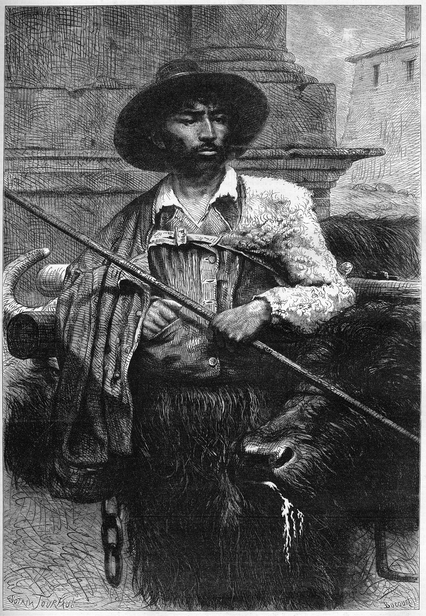 Antigo agricultor: búfalo condutor (criação de búfalos para mozzarella) Gravura em "O Mundo Ilustrado" de Unknown artist