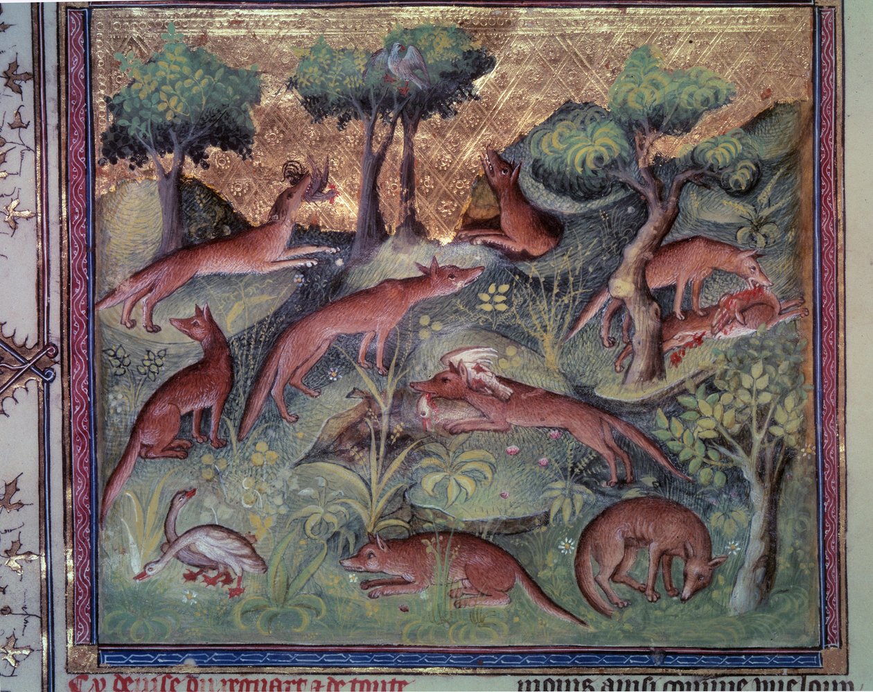 Raposa caçando aves. Miniatura do manuscrito "Le livre de la chasse" (fólio 34v) de Gaston Phoebus (1331-1391) dit Gaston III Comte De Foix de Unknown artist