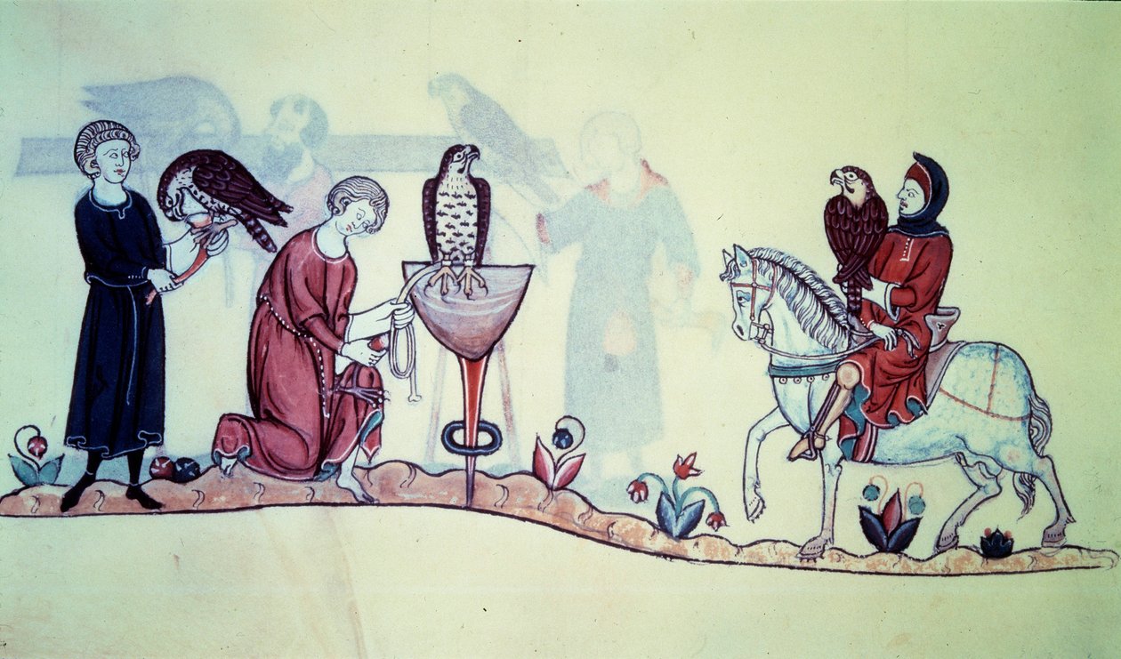 Frederic II (1194 - 1250) Imperador alemão em 1212. A miniatura vem de uma falcoaria do século XIII. Paris. B N de Unknown artist