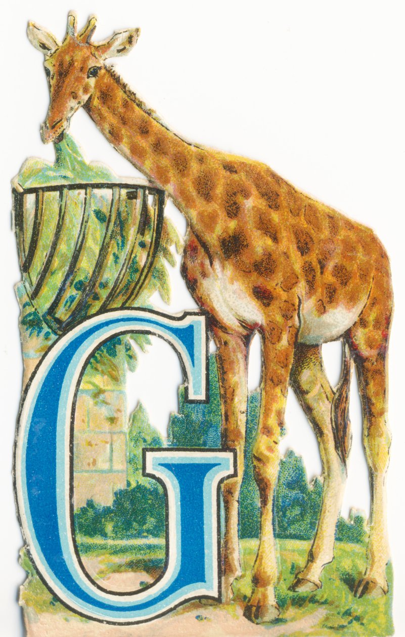 G: girafa de Unknown artist