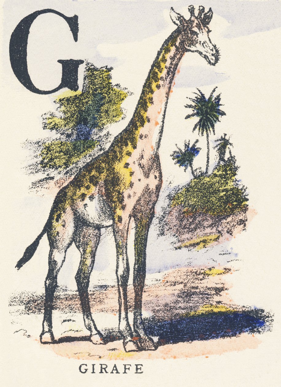 G: girafa de Unknown artist