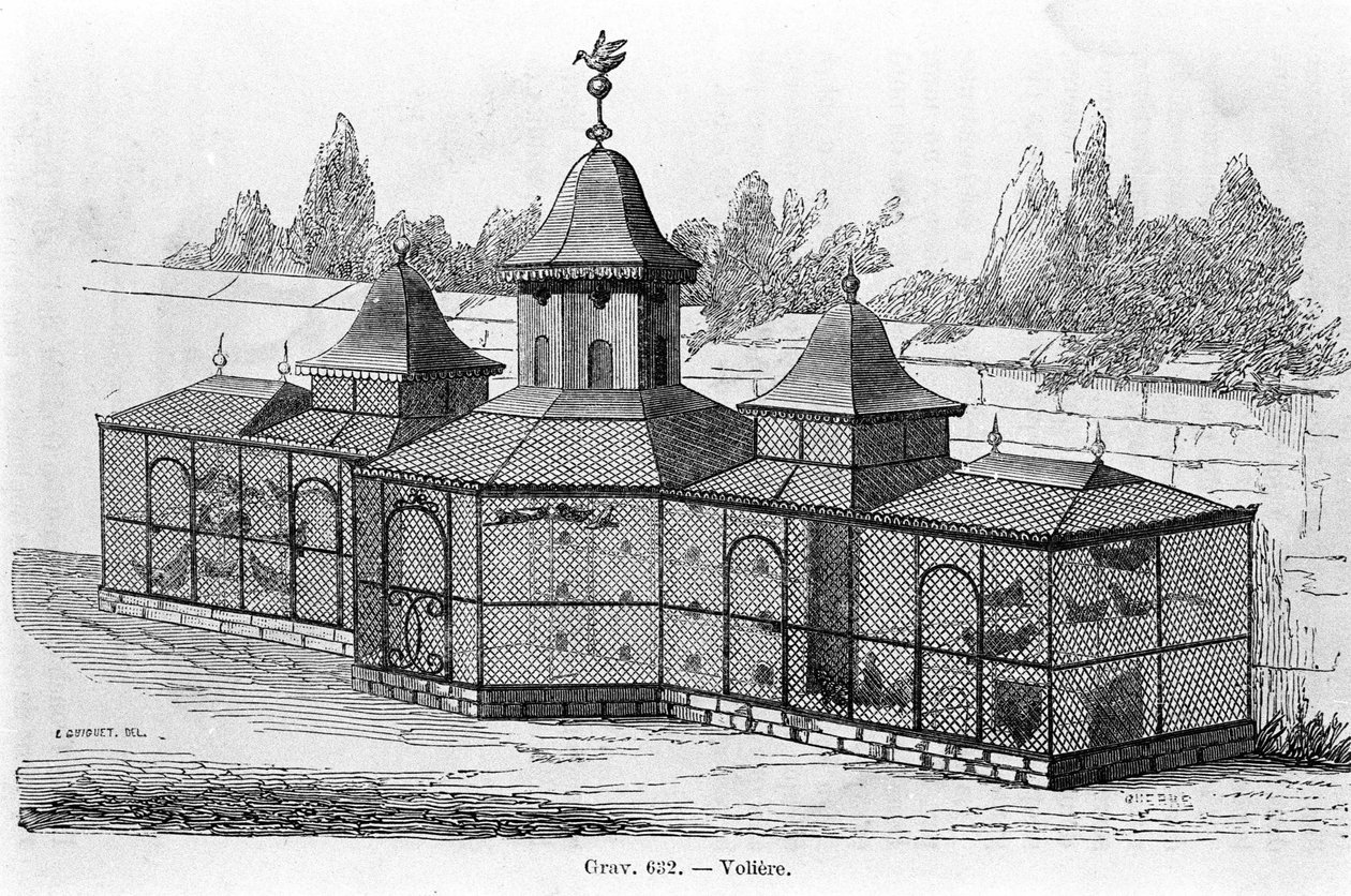 Ave de jardim. Gravação de sd. Século XIX. de Unknown artist