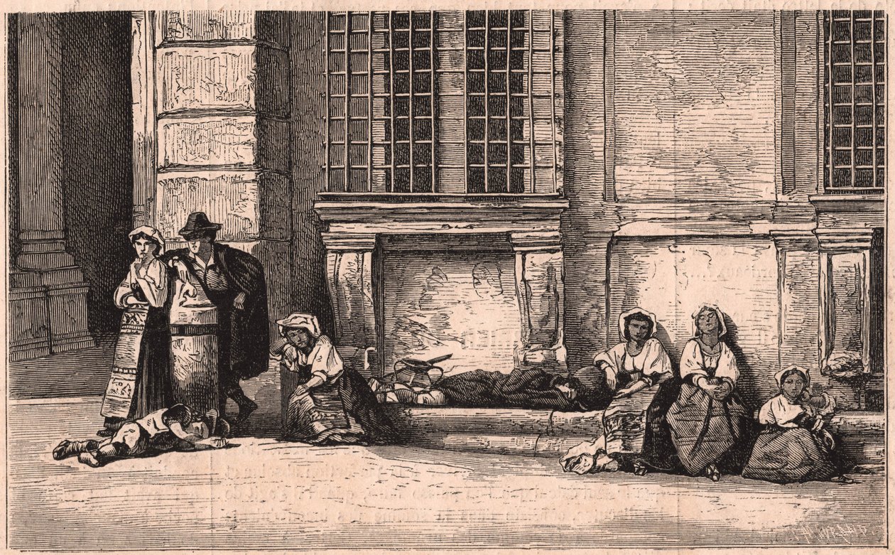 Grupo, de, napolitan, camelos, sentando, frente, a, palácio, farnese, em, roma, itália de Unknown