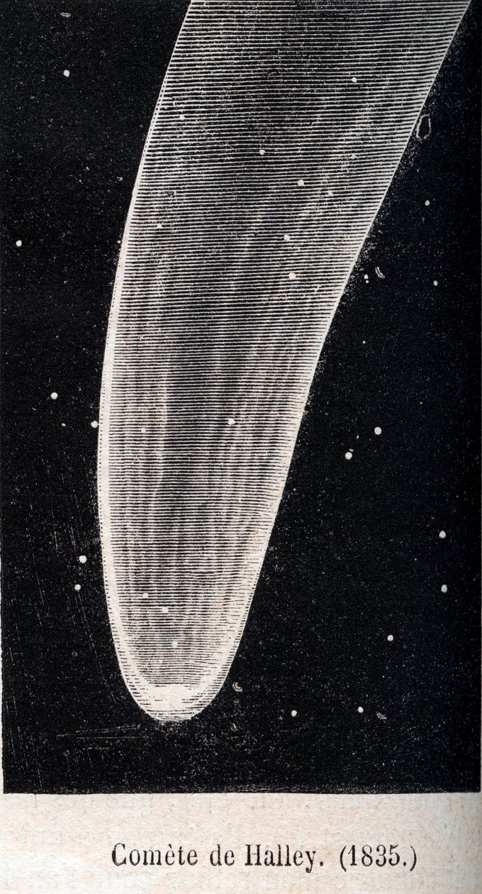 O cometa Halley