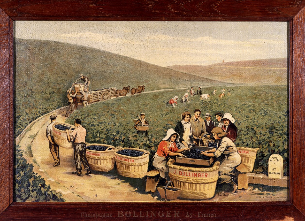 Colheita em Bollinger, cerca de 1900. de Unknown Artist