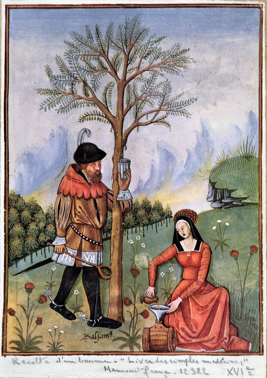 Colher um bálsamo - Livro de medicamentos simples de Unknown artist