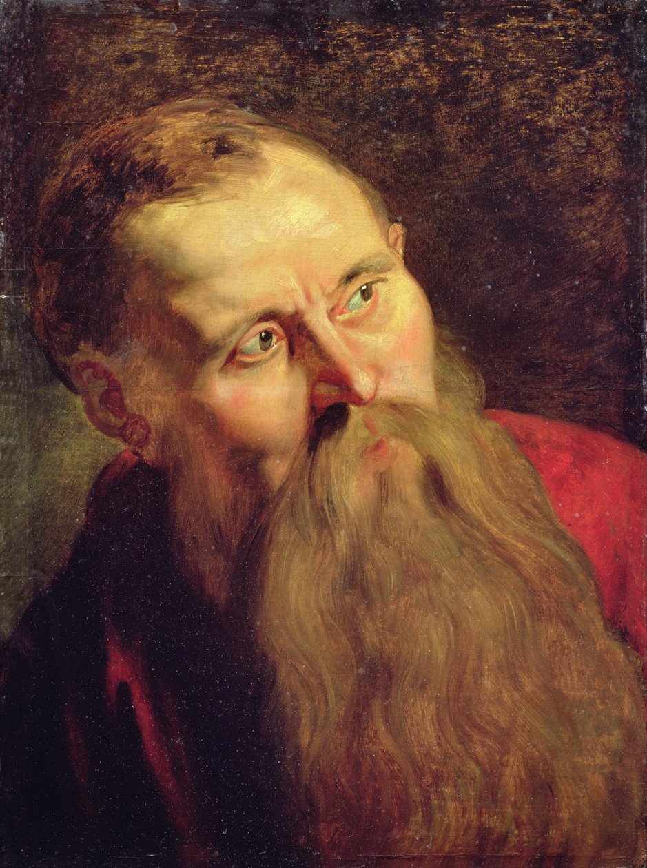Cabeça de um santo (óleo sobre madeira) de Unknown artist