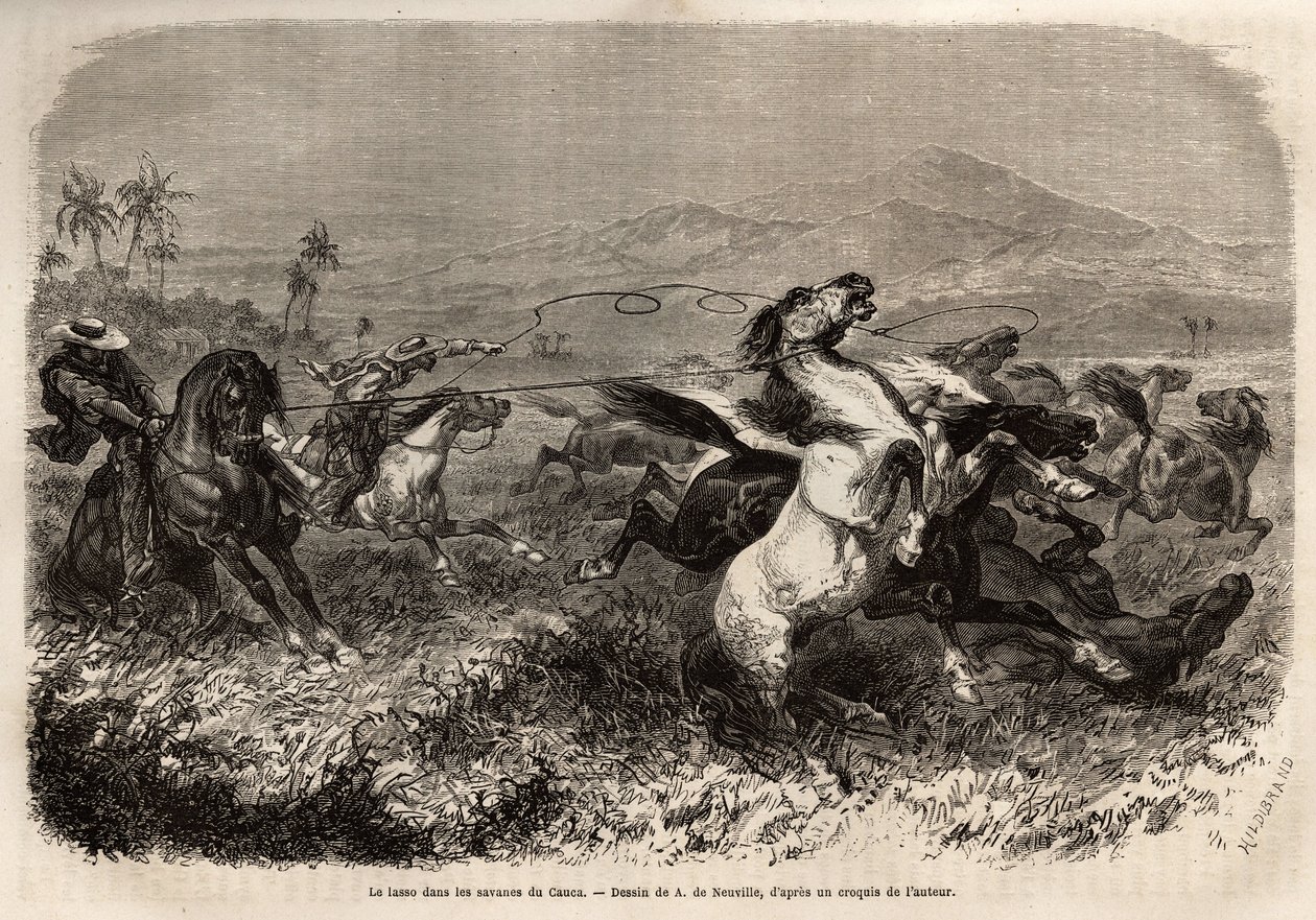 Manadas de mulas e cavalos vagueiam em liberdade nas planícies do Cauca (Colômbia), grupos de criadores para apanhar animais com laço (ou zoga, corda longa de couro). Gravura para ilustrar a viagem a Nova Granada, pelo Dr. Saffray, em 1869, publicada em "L de Unknown artist