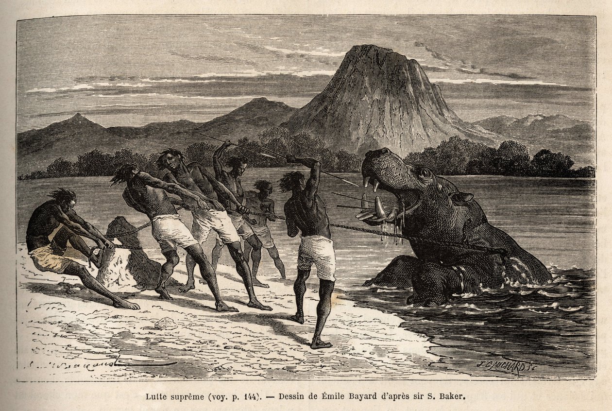 Caça hipopótamo com a tribo Houarti, com arpões e lanças, a furiosa carga de animais e resiste. Gravura para ilustrar a exploração dos afluentes abissínios do Nilo, por Sir Samuel W. Baker, em 1861-62, publicada em "Le tour du monde" 1 de Unknown artist