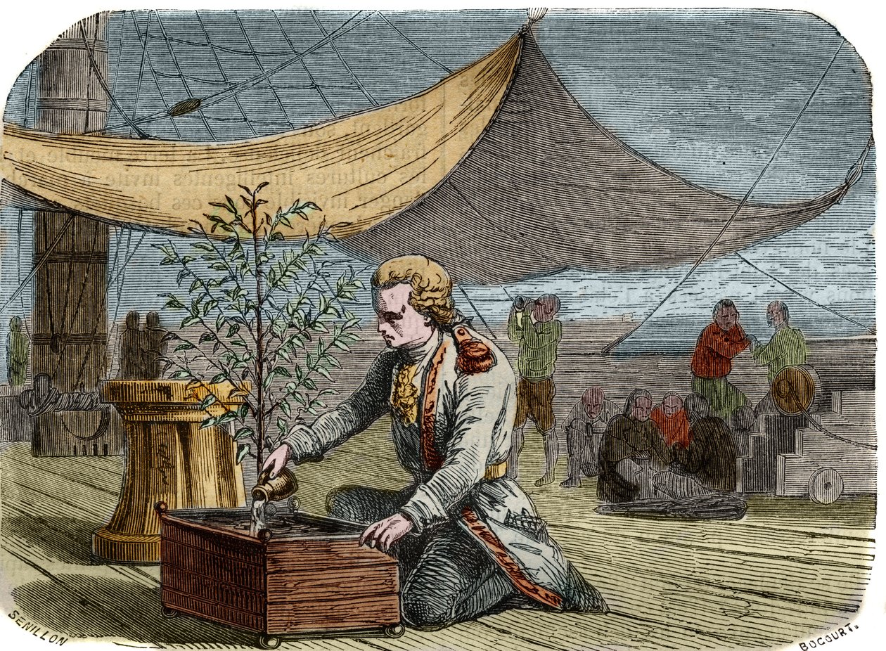 História do café: Capitão Gabriel de Clieu (Declieux, Desclieux) (1687-1678- cerca de 1774), encarregado pelo Rei Luís XIV em 1725 de trazer para a Martinica uma planta de café (cafeteira), partilha com ele a sua ração de água para o salvar da secagem. Eng de Unknown artist