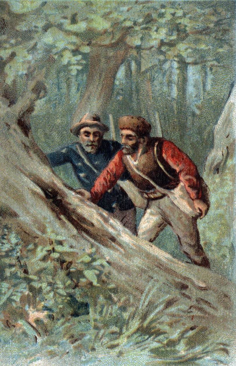 Caçadores de mel no Canadá à procura de uma árvore de enxame. Cromolitografia do final do século XIX. de Unknown artist