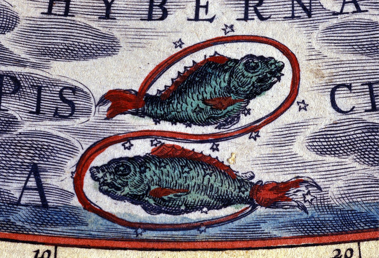 Horóscopo: signo do zodíaco, Peixes. Gravura do século XVI. de Unknown artist