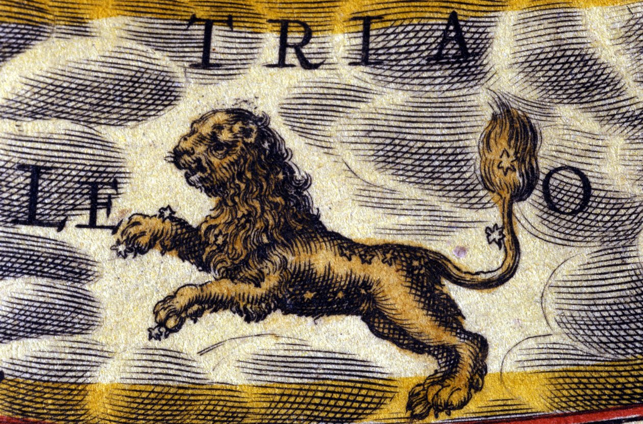 Horóscopo: signo do zodíaco, o Leão. de Unknown artist